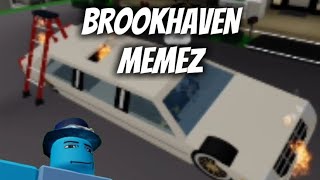 Brookhaven  MEMEZ  Sanjith224 [upl. by Aytida839]