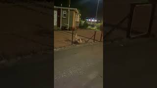 Drunk Woman Tries to Jump Across Fence  1358691 [upl. by Nomael719]