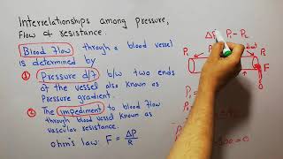 CVS physiology 57 Ohms Law Blood flow blood pressure vascular resistance [upl. by Persian]