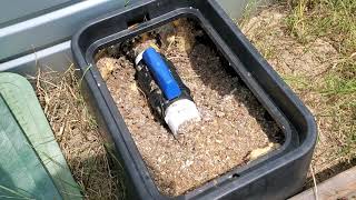 How to pressurize water from a rainwater tank at low cost [upl. by Hoeg]