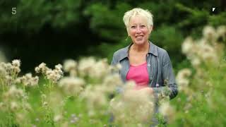 🔴 Gardeners World 2022  Gardening with Carol Klein 2022 Series 13 Episode 1 [upl. by Okemak]