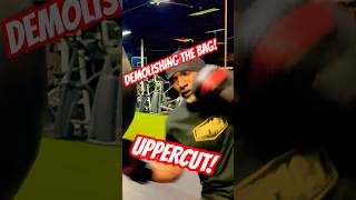 DEMOLISHING THE BAG UPPERCUT [upl. by Airetnahs]