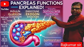 quotPancreas Functions Explained  UPSCBPSC by Chronicle Academy Patna [upl. by Horatia952]