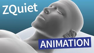 ZQuiet Orthèse antironflement – Animation [upl. by Hosea545]