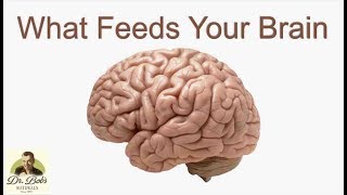 Fuel Your Brain Naturally [upl. by Brigitte407]