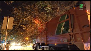 Un Árbol de Grandes Dimensiones Cae Sobre un Camión de Basura Sin Víctimas que Lamenta [upl. by Sterling651]