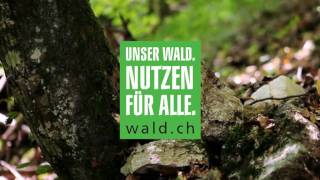 Schweizer Wald [upl. by Alle]