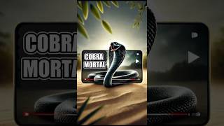 COBRA MORTAL animals cobra mamba shorts shortvideo shortsfeed [upl. by Schulman]