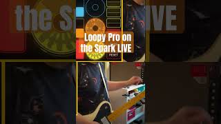 Loopy Pro on the Spark LIVE amp or Using Your iPhone for Live LOOPING shorts guitar looping [upl. by Millan]