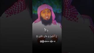 Mansour al salimi beautiful recitation shorts reels quran [upl. by Karwan]