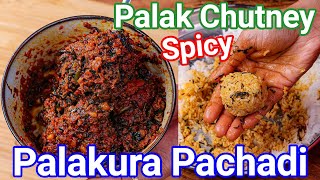 Palak Ki Chatni  Palakura Pachadi Andhra Style  Multipurpose Spinach Chutney for Rice Idli amp Dosa [upl. by Amsaj]