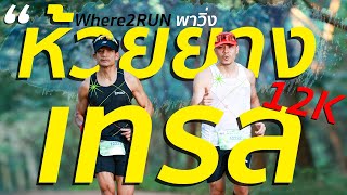 วิ่งเทรลส่งท้ายปีที่ห้วยยางเทรล Where2RUN Running VLOG [upl. by Nosiram]