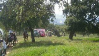 Romeria Setenil 2008 [upl. by Ragan]