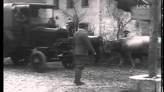 Archivio Luce  Documentazione Cinematografica della Prima Guerra  Clip 1 [upl. by Enyawd]