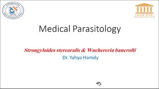 Strongyloides stercoralis amp Wuchereria bancrofti [upl. by Andria]