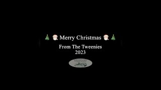 Merry Christmas From the Tweenies 2023 [upl. by Ssidnac]