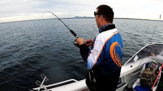 Fishing Corio Bay  Whiting Fishing Geelong in a small boat [upl. by Ralli150]