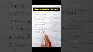 What Are the COOLEST Group Animal Names [upl. by Yaffit635]