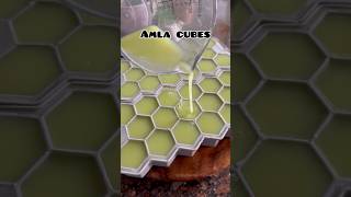 Amla cubes can store upto 1 year amla amlarecipe healthyrecipes hairfallsolution glowingskin [upl. by Shir890]