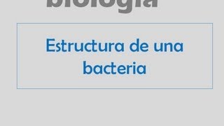 Estructura de una bacteria [upl. by Gusty948]