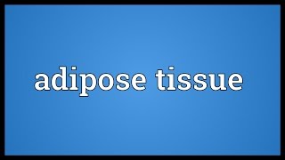 Adipose tissue Meaning [upl. by Neenahs]