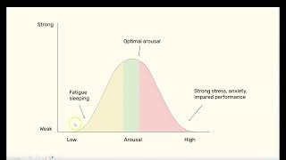 2 Yerkes Dodson Law of Arousal  Stage 1 Psychology [upl. by Memory]