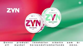 ZYN Red Fruits amp ZYN Gentle MInt Mixpaket [upl. by Luht133]