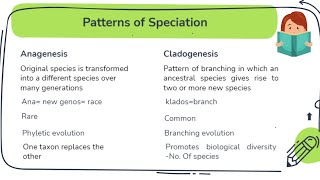 Anagenesis vs Cladogenesis Patterns of speciation [upl. by Eveam]