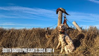 Day 4 A Last DITCH Effort Produces Another Limit In South Dakota [upl. by Ahtnammas]