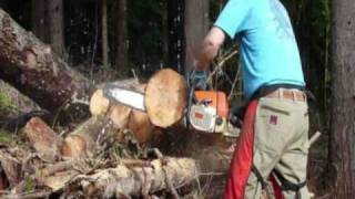 Stihl 036 chainsaw with 33rsc chain hand sharpened [upl. by Dusa]