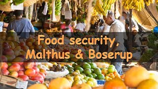 Food security Malthus and Boserup [upl. by Aicenad763]