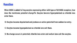 quotWhen GABA is added to frog oocytes expressing either wildtype or Rdl GABA receptors [upl. by Ettenawtna]