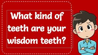 What kind of teeth are your wisdom teeth Explained [upl. by Neerihs]