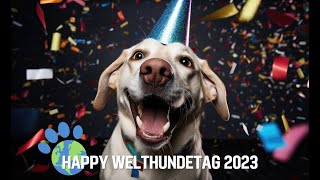 Welthundetag 2023 Wie Hunde und Menschen miteinander sprechen [upl. by Lorianne214]