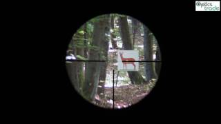 Sightron S TAC 25175x56 SF reticle 4A illum subtensions [upl. by Harehs406]