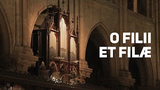 O Filii et Filae — Chant et improvisations [upl. by Euginomod]