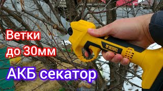 Аккумуляторный секатор для сада и огорода  обзор Denzel CP30 [upl. by Milly888]