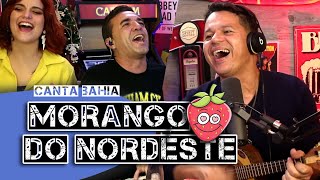 Canta Bahia cantam o mítico Morango do Nordeste Ai é amor [upl. by Aihsyn]