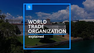 WTO explained [upl. by Ainoloppa251]