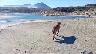 🇨🇱 Río Quilimarí y Playa Pichidangui Coquimbo Chile 260624 [upl. by Calysta133]