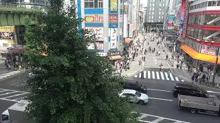 オノデンch【秋葉原ライブカメラ Akihabara live camera】 [upl. by Raddatz226]