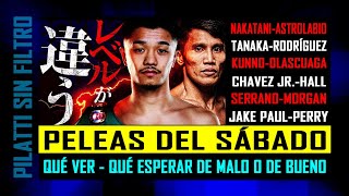 Boxeo de sábado ¿Qué esperar de Nakatani Chávez Jr Tanaka Serrano y Jake Paul [upl. by Abigale]