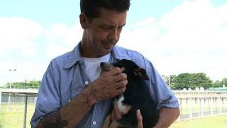 Prison Inmates Caring for Shelter Pets [upl. by Monteith656]