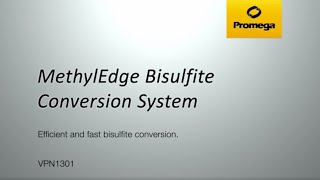 MethylEdge Bisulfite Conversion System Video [upl. by Cyna260]