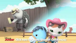 Sheriff Callie  Picture Perfect Song  Disney Junior UK [upl. by Nylacaj982]