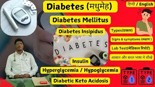 What is Diabetes  What is Insulin [upl. by Hatch247]