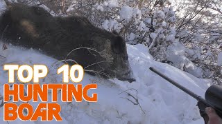 Wild Boar Hunting Top 10 Amazing kill shots and chargesattacks 2019 Chasse Compil Sanglier Attila [upl. by Wendelin876]