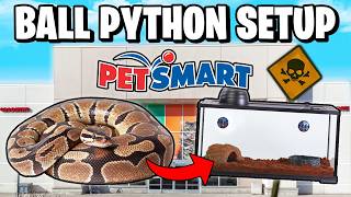 Ball Python Setup for Beginners [upl. by Wivina]