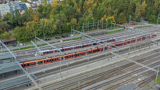 Der Treno Gottardo in ArthGoldau [upl. by Aleihs]