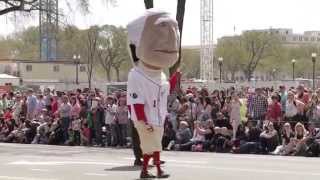 National Cherry Blossom Festival Washington DC 2014  Parade Highlights [upl. by Ellmyer]